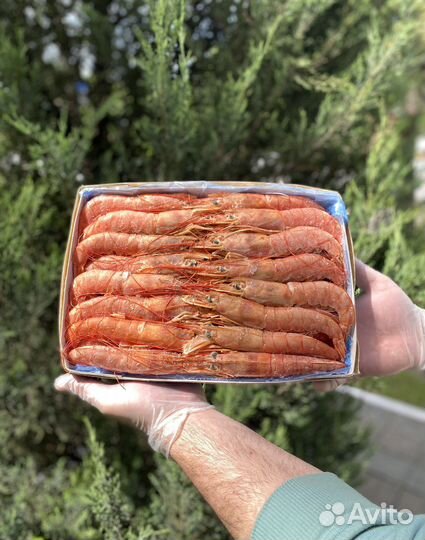 Креветки, лангустины доставка