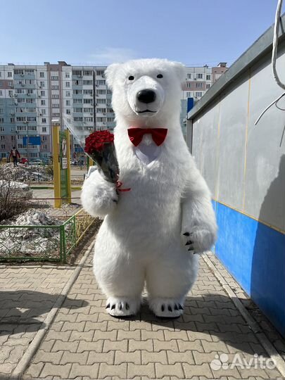 Ростовая Кукла Белый Мишка Поздравление