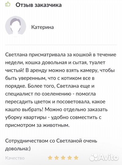 Озеленение, уход и пересадка растений