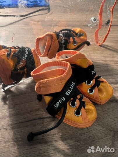 Носки для собачек мелких пород