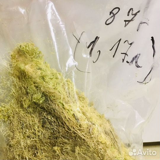 Мох сфагнум сухой прессованный