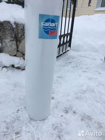 Раковина тюльпан