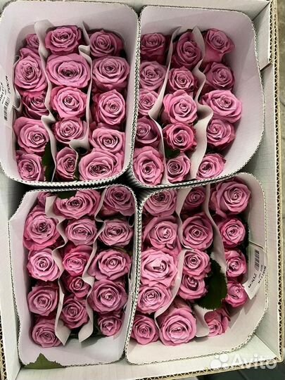 Розы оптом и в розницу