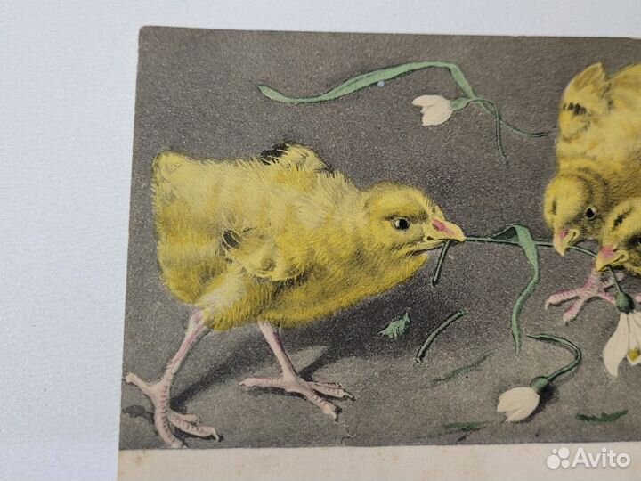 Старинная открытка Цыплята Цветы Пасха M.M. Vienne