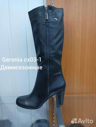 Сапоги осень