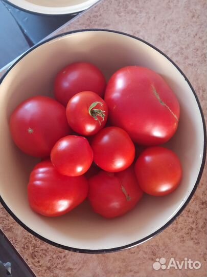 Помидоры крупные