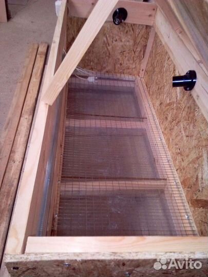 Брудер для цыплят