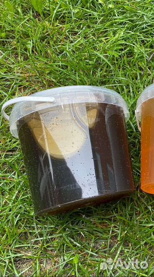 Мёд свежий натуральный