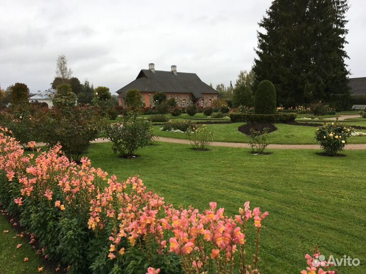 Менеджер по развитию экскурсионного отдела музея