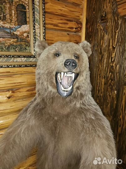 Чучело медведя имитация