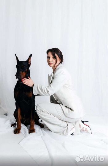 Общение с добрым Доберманом