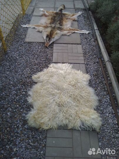 Выделка шкур