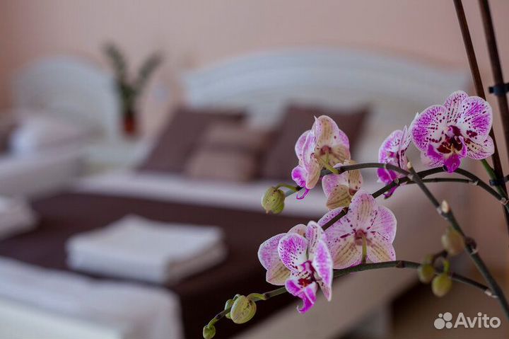 Гостевой дом 