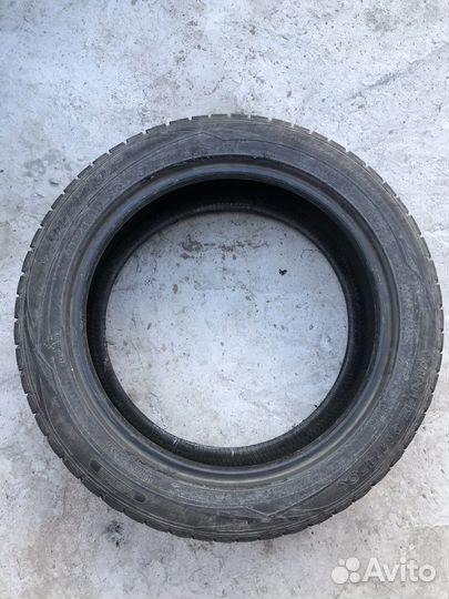 Dunlop Winter Maxx WM01 205/55 R17 91Q