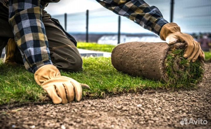 Укладка рулонного газона под ключ
