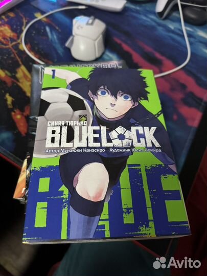 Синяя тюрьма 1 том