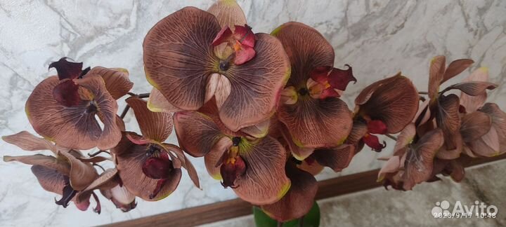 Орхидея фаленопсис искусственная