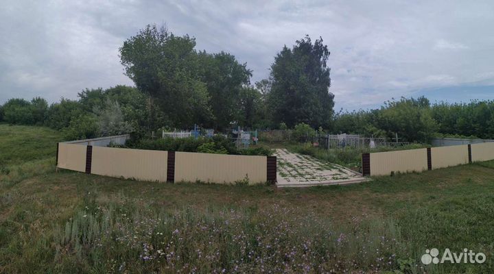 Спил деревьев