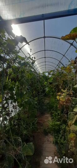 Теплицы из поликарбоната