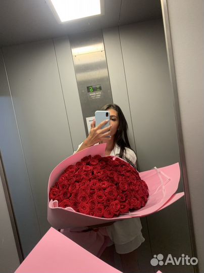 Розы 101 роза красные розы