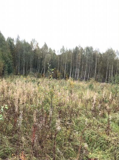 Участок 15 сот. (ИЖС)