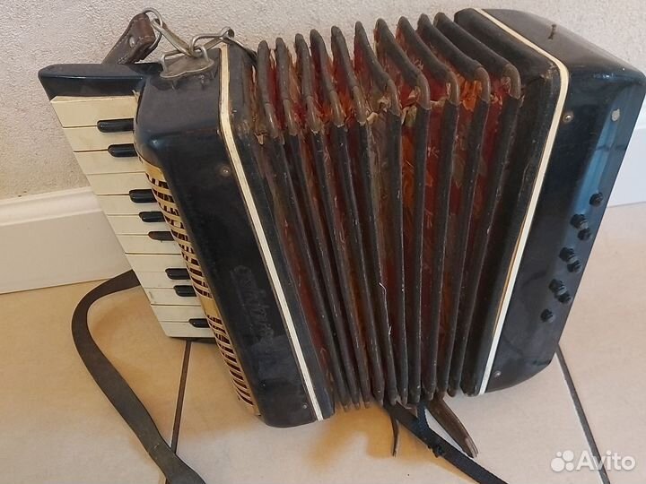 Аккордеон Беларусь