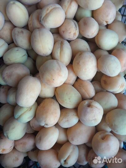 Фрукты и овощи