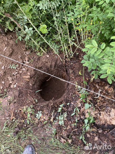 Мастер на час