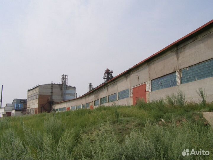 Завод по производству растительного масла