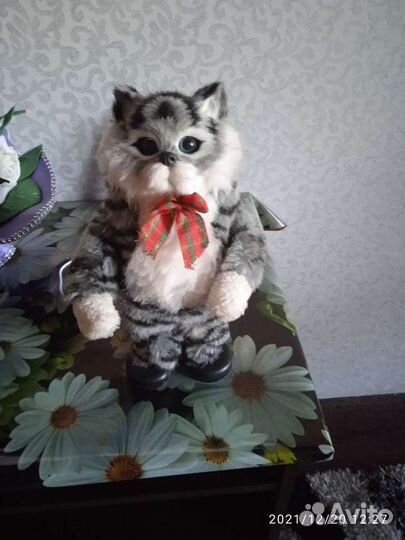 Танцующий, поющий котик