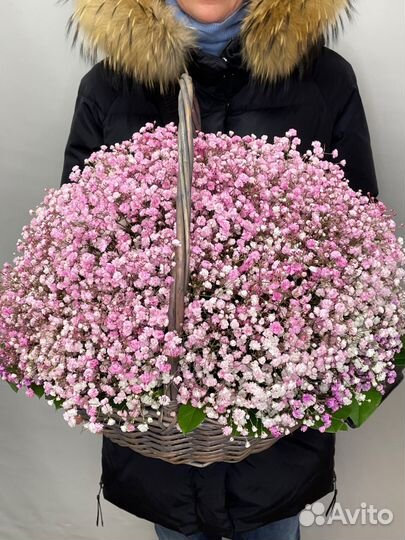 Корзина с цветами гипсофила
