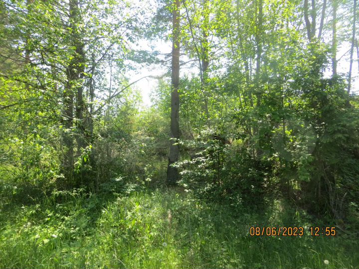 Участок 37,73 га (ИЖС)