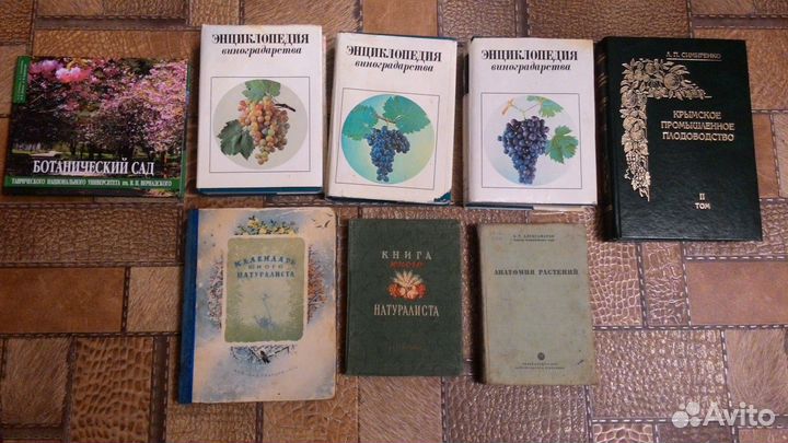 Виноградарство. Растения. Грибы, Ботаника