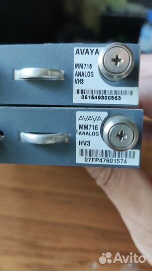 Avaya MM716