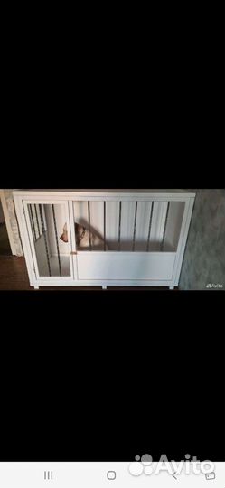 Кленка для собак