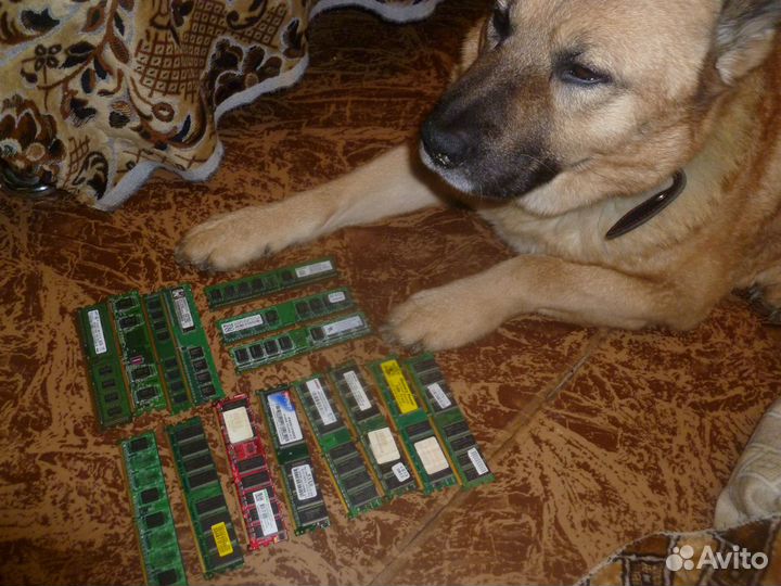 Память ддр1,ддр2 и комплектующие от компов