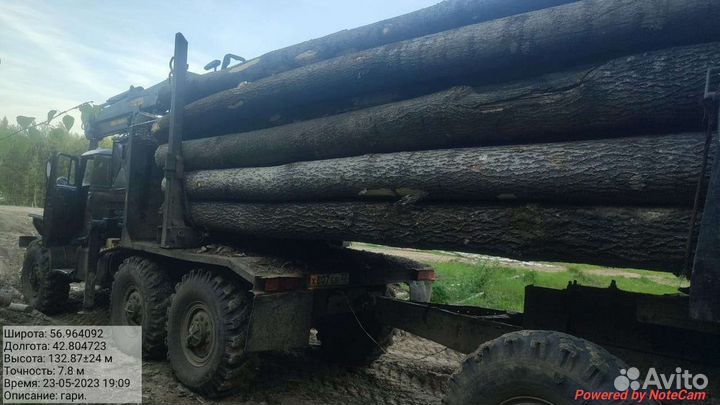 Пиловочник осиновый