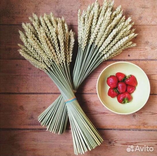 Сухоцветы пшеница