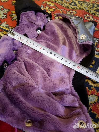 Одежда и обувь для маленьких собак