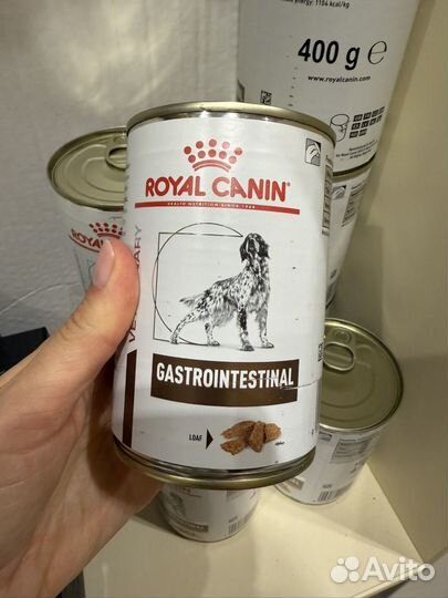 Royal canin gastrointestinal для собак влажный