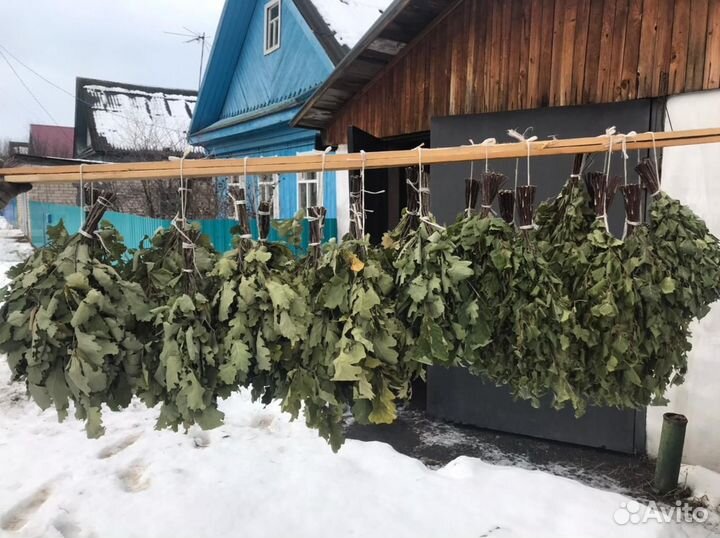 Веники березовые