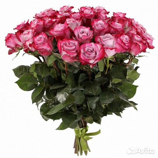Букет из 51 розы Натали 50 см
