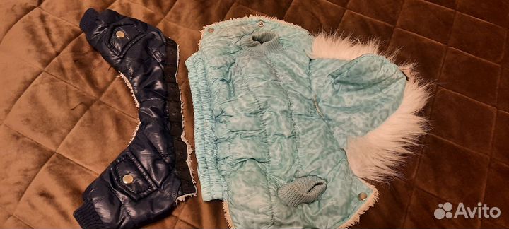 Комбинезон для маленькой собаки