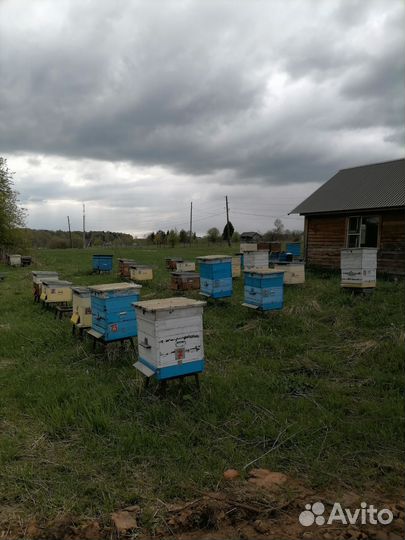 Улей для пчел бу и рамки