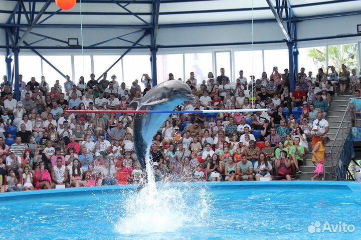 Услуги фотографа