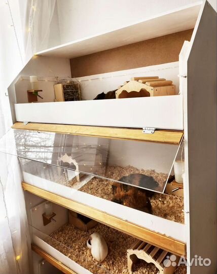 Стеллаж-витрина для морских свинок и др.животных