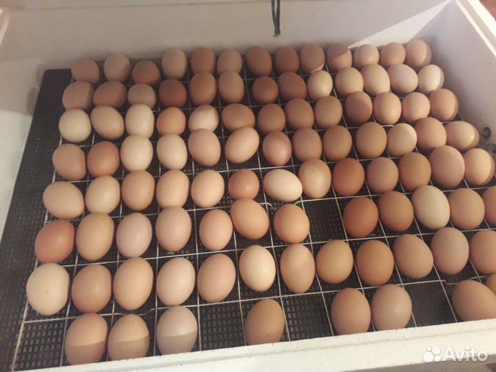 Кормушка бункерная