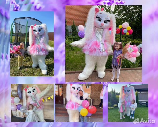 Мишка Белый,Зайка,Панда,Чебурашка поздравление