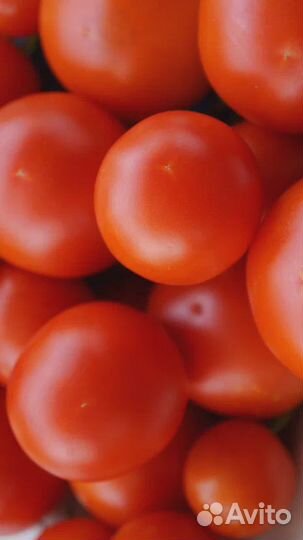 Помидоры, огурцы, перцы