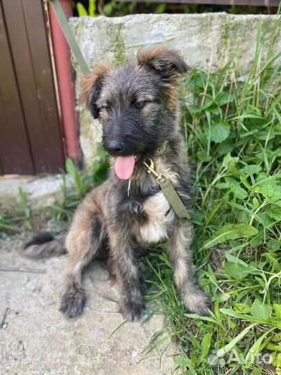 Отличный парнишка